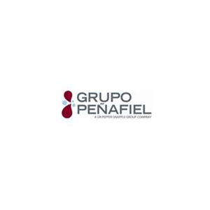 Grupo Peñafiel