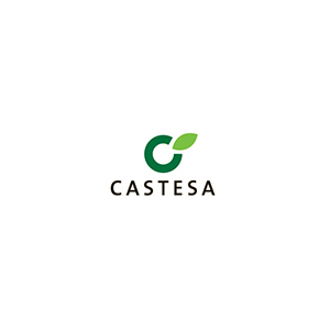 Castesa