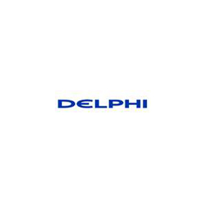 Delphi Rio Bravo Eléctricos, S. de R.L. de C.V. Planta V