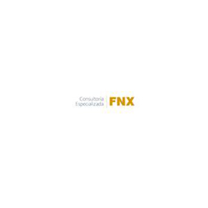 Consultoría Especializada Fnx, S.A. de C.V.