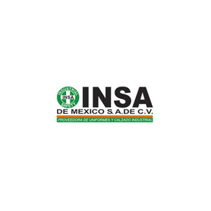 Insa de México, S. A. de C.V.