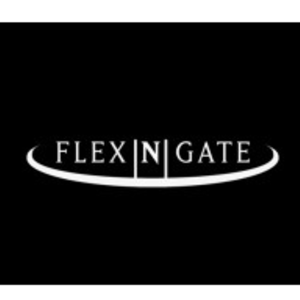 Flex-N-Gate México, S. de R.L. De C.V.
