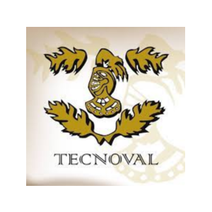 TECNOVAL DE MEXICO S.A. DE C.V.