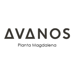 Avent Magdalena