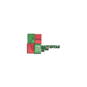 PROMOVENTAS EFECTIVAS, S.A. DE C.V.