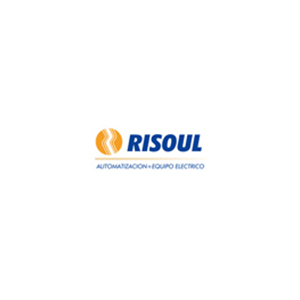 Risoul y Cia, S.A. de C.V.